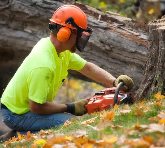 tree services Tallulah